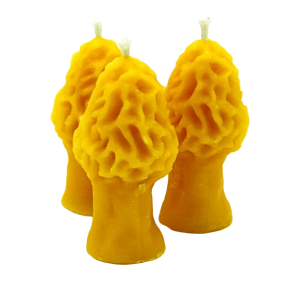 Morel Candle beeswax morel candle weed wedding favor 
