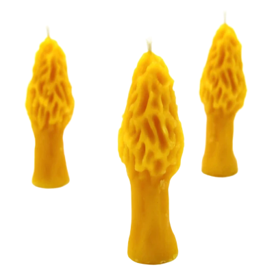 Morel Candle beeswax morel candle weed wedding favor 