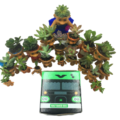 Pot Head Box-halfbakedbus-halfbakedbus